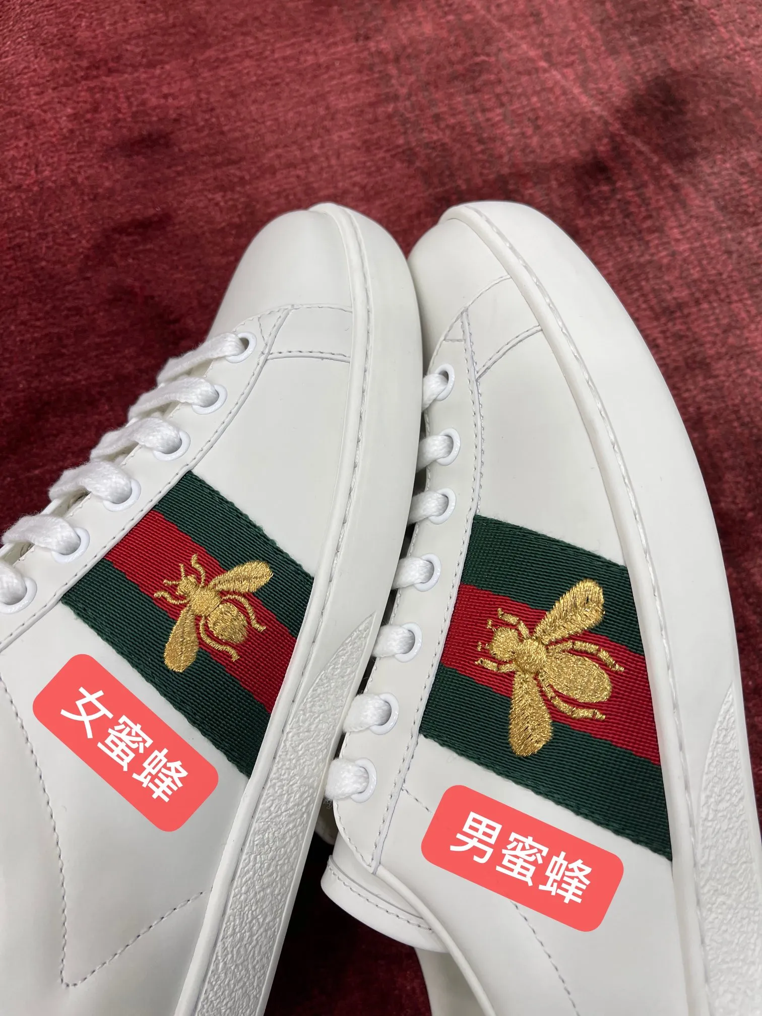 ⚠️注意區分男女蜜蜂的不同哦～已經忘了第幾次重拍小蜜蜂了，每一次拍都有不同的感情[愛心]